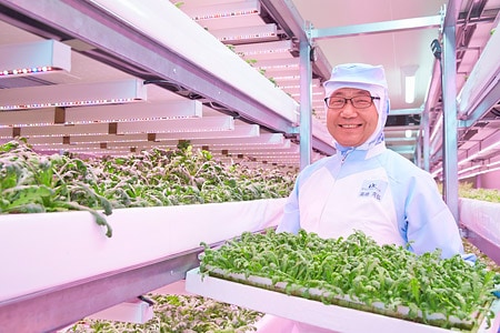 Japanese food producers harvest the benefits of vertical farming with special LED lighting