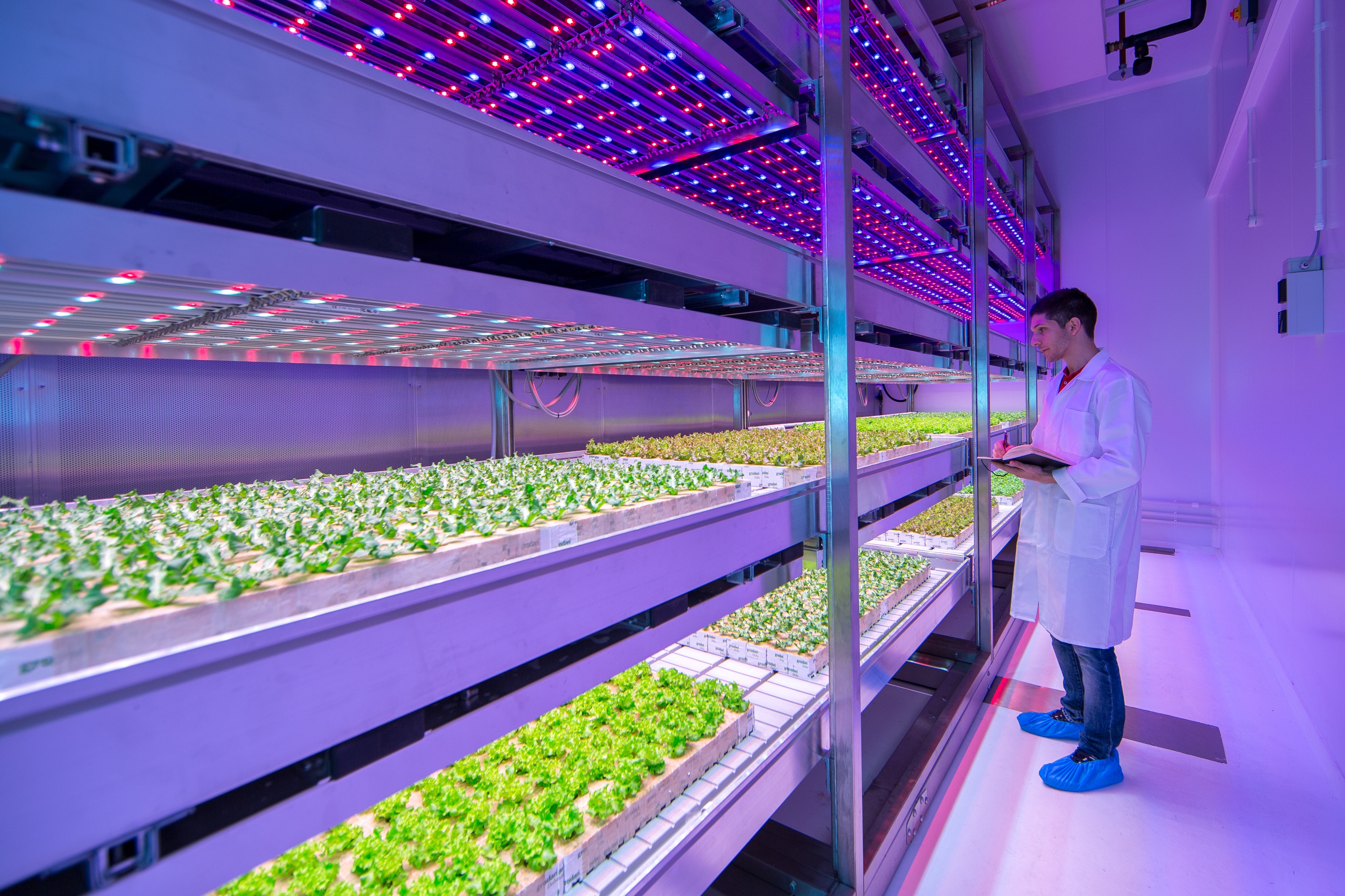 Philips Growwise Reveals Research Results On Light Enabled City
