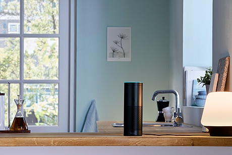 Amazon Echo Plus and Philips Hue lifestyle