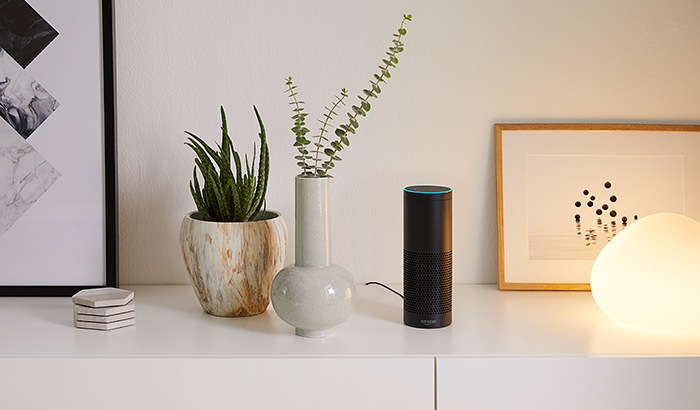 Echo plus hue 2025