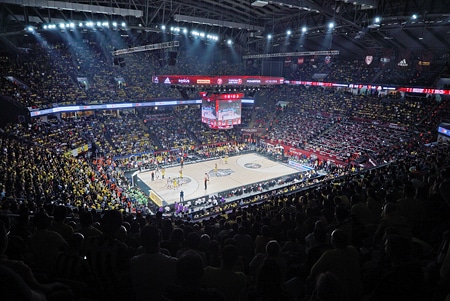 Leading sports segment: Olympique Lyonnais, Sevilla FC and the Sinan Erdem Arena in Istanbul