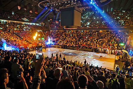 Sinan Erdem Arena
