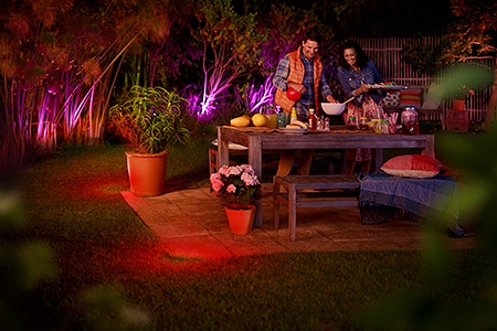 Philips Hue Outdoor