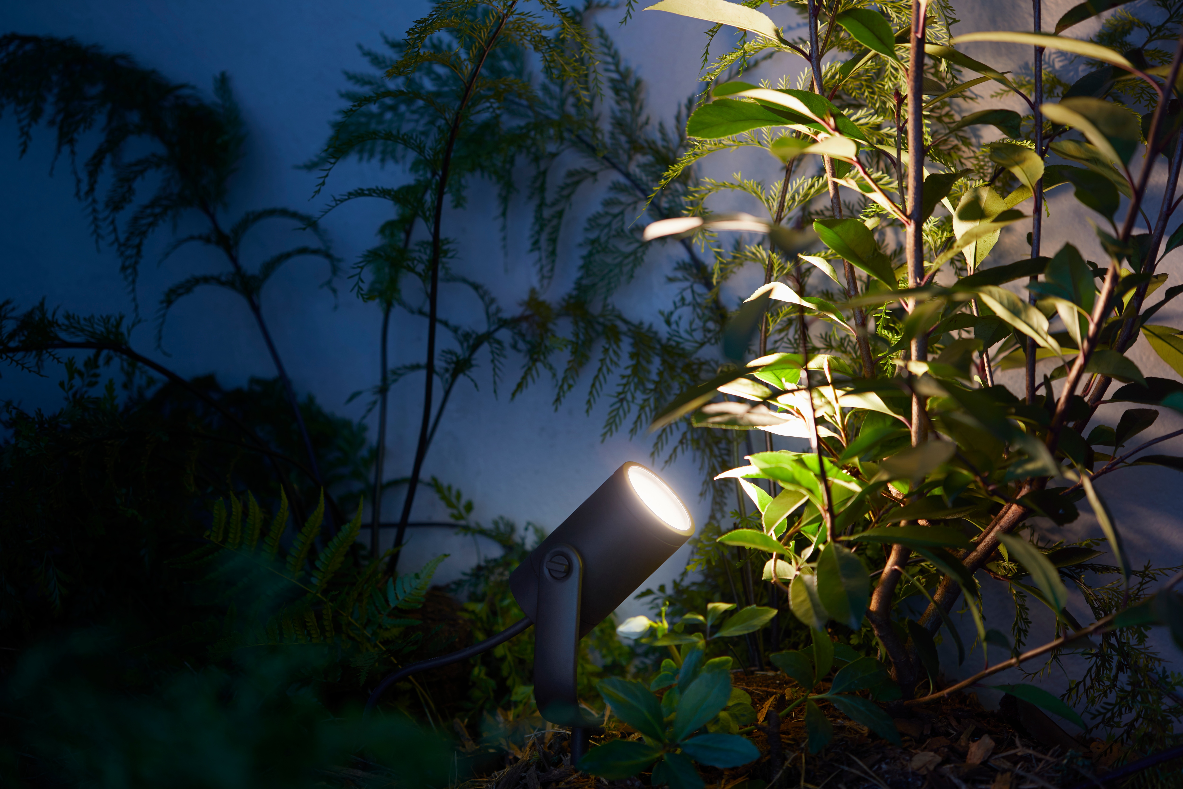 Extend Your Smart Lighting System This Summer With The New Philips High Res