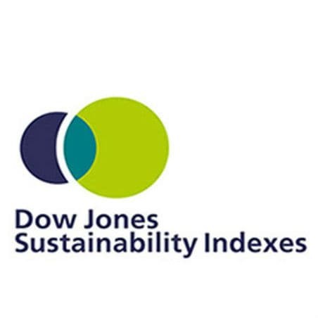Logo for Dow Jones Sustainability index