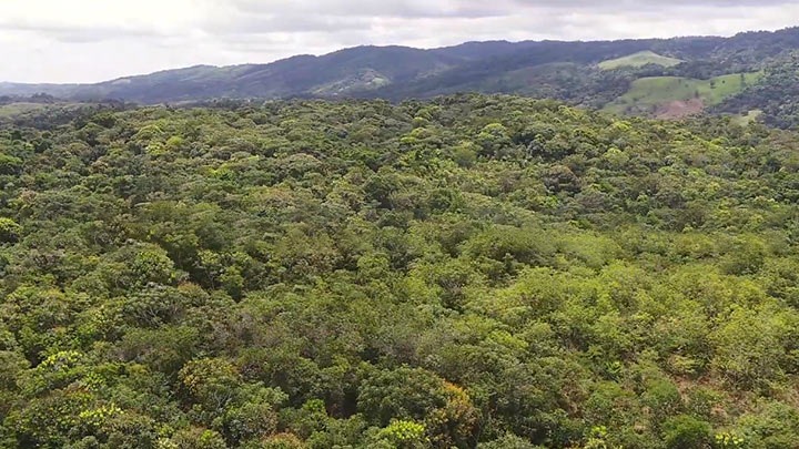 Carbon Offsetting Projects