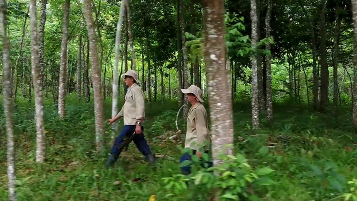 Local Workers