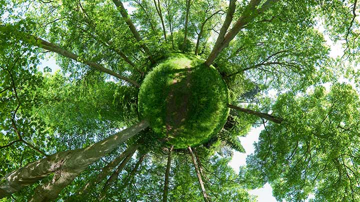 Kleine groene planeet met bomen