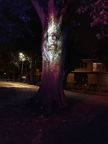Sint-Truiden by Light