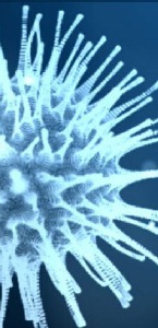 UV-C