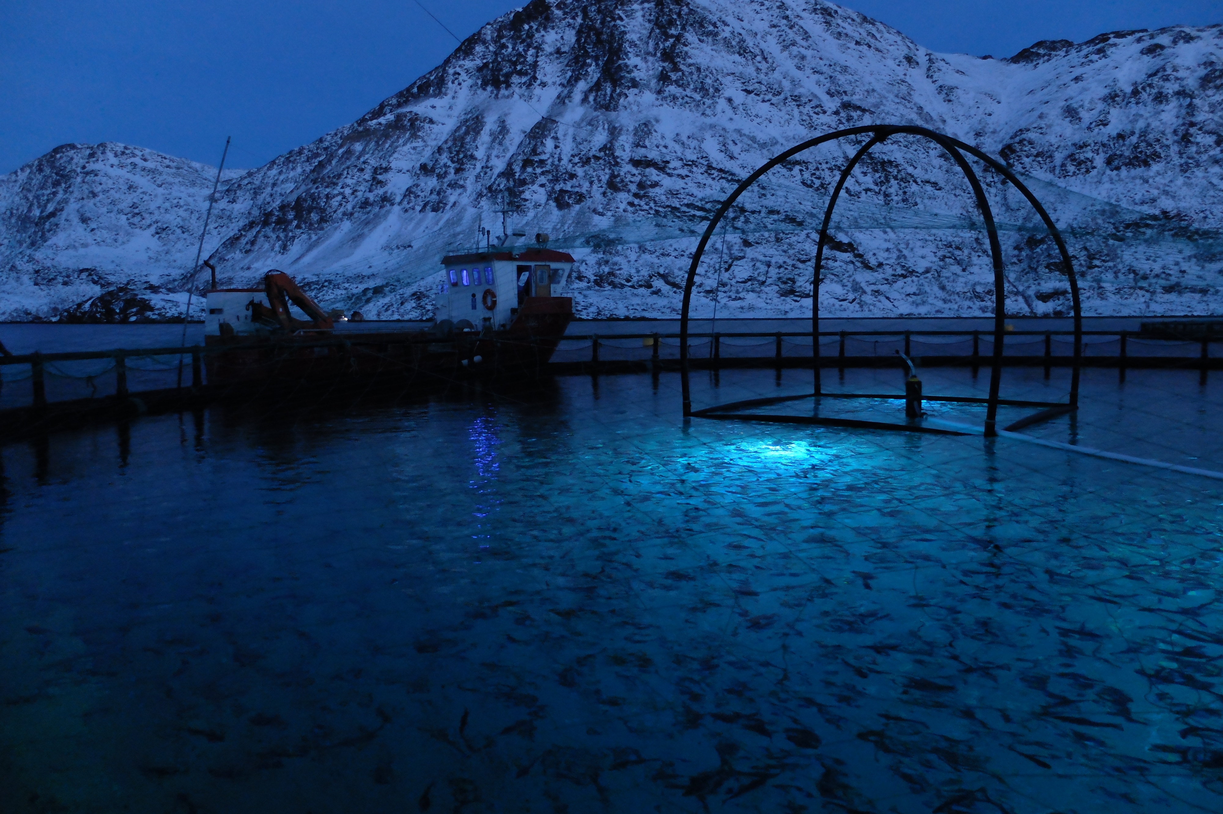 Aquaculture Led Lighting Optimizing Growth Results And Improving Fish Welfare Signify Pany Website