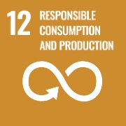 responsible consumption circularity 12