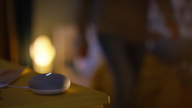 philips wake up light google home