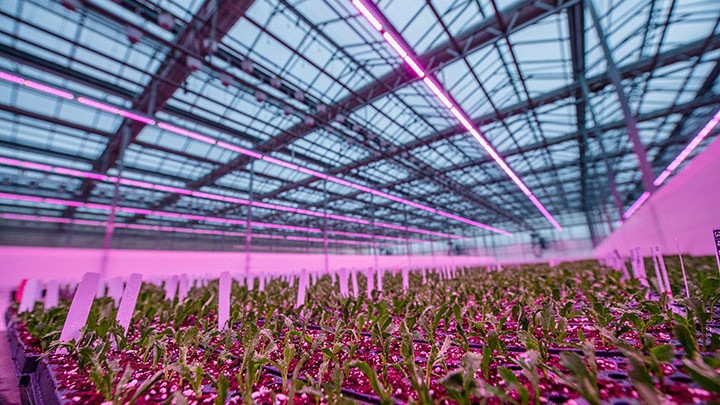 philips-led-toplighting