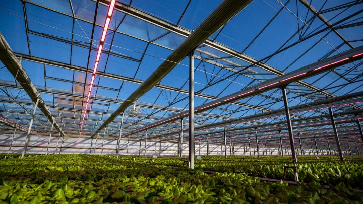 growers new led lighting technology