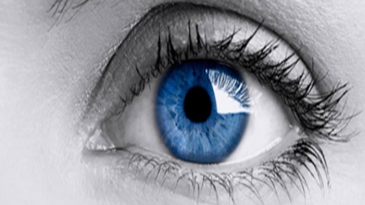 Signify concientiza sobre la importancia del confort visual