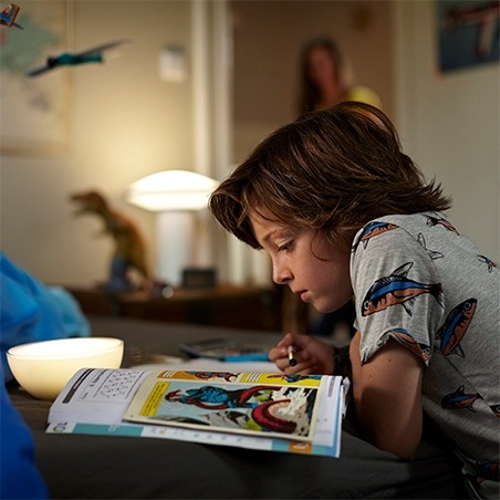 Fogyaszt&oacute;i vil&aacute;g&iacute;t&aacute;stechnika