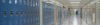 An empty school corridor lined with blue lockers, lit by fluorescent ceiling lights stretching into the distance