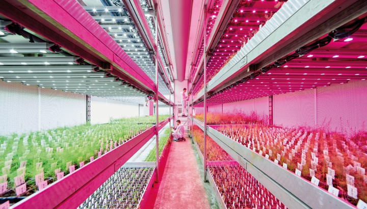 Doubler nos ventes de produits destinés à améliorer la qualité de vie de la population pour les porter à 32%