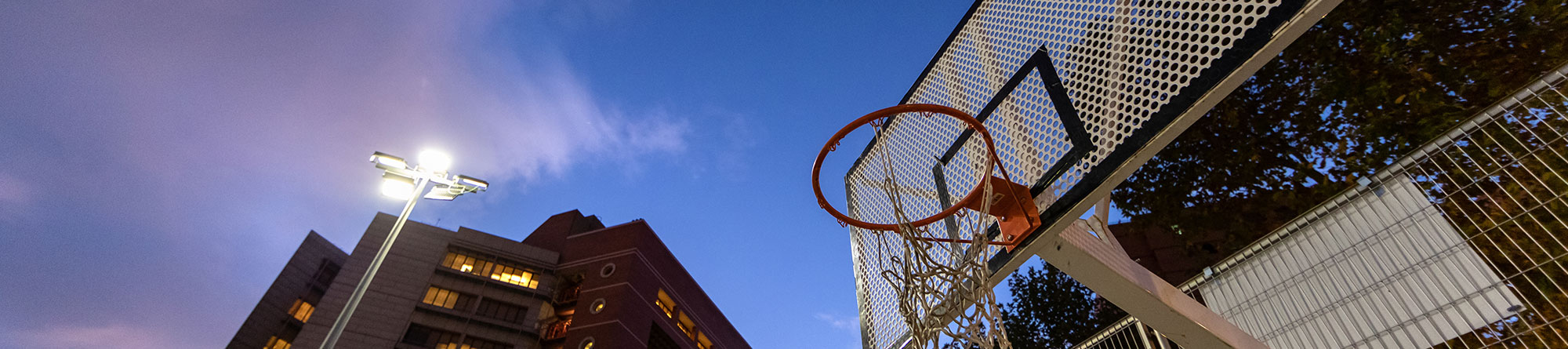 Interact Sports Light control API helps create an innovative app