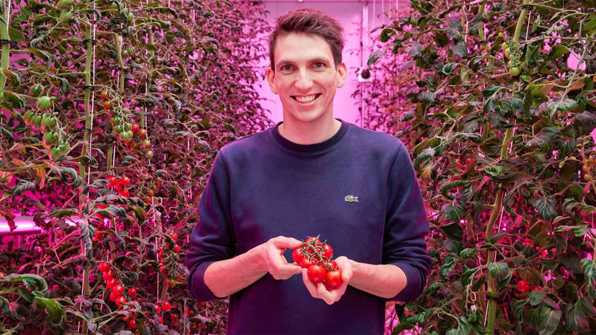 Creating a recipe for growth for indoor farming