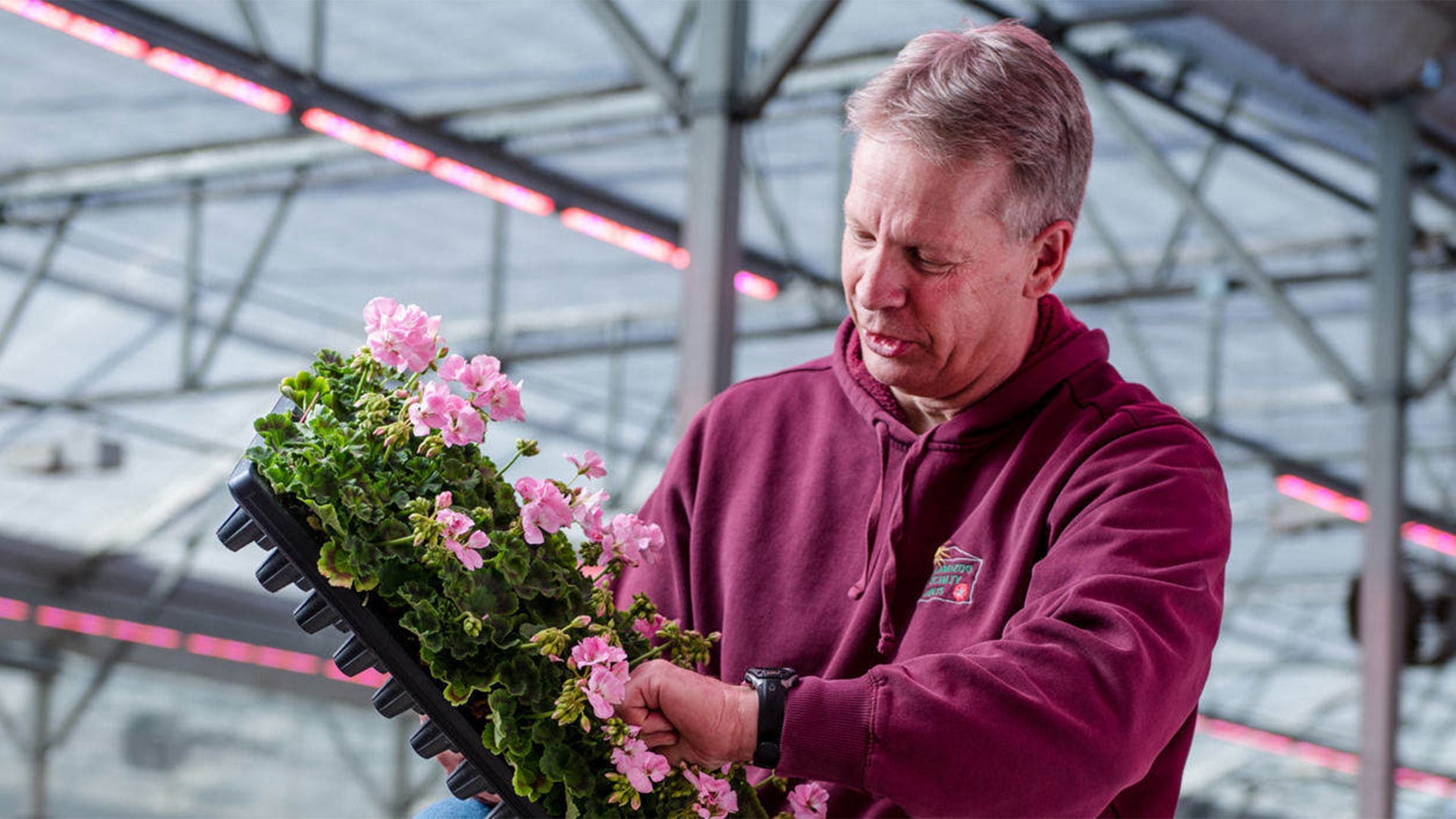 Kalamazoo Specialty Plants