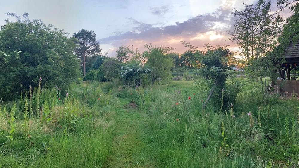  Living Systems – návrh osvětlení (AIA/CPD-UK)