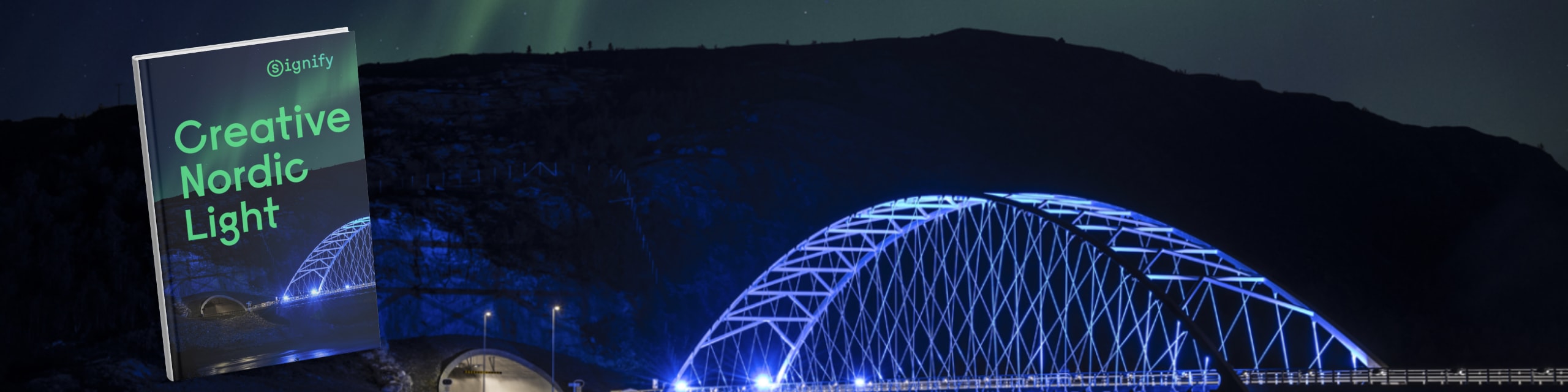 Creative Nordic Light