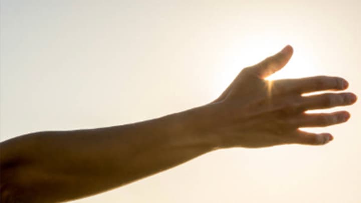 NatureConnect skylights