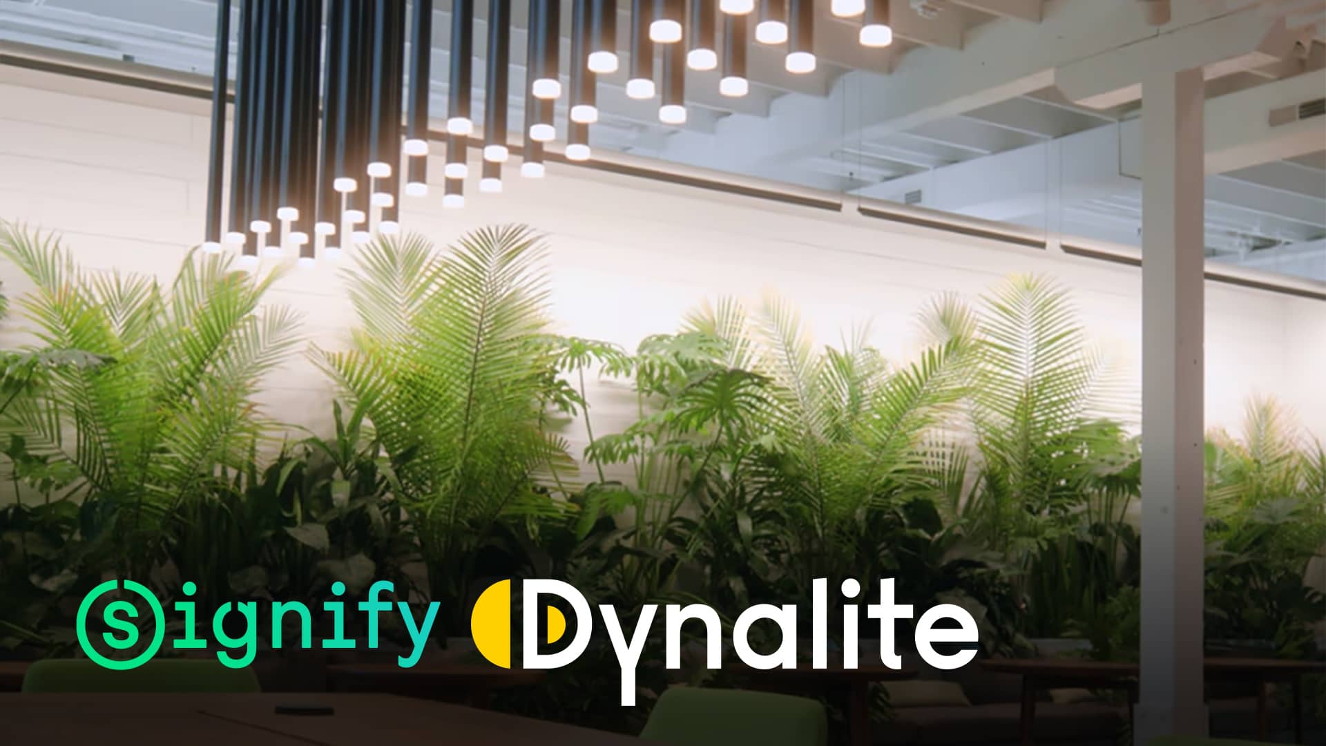 Discover Signify Dynalite