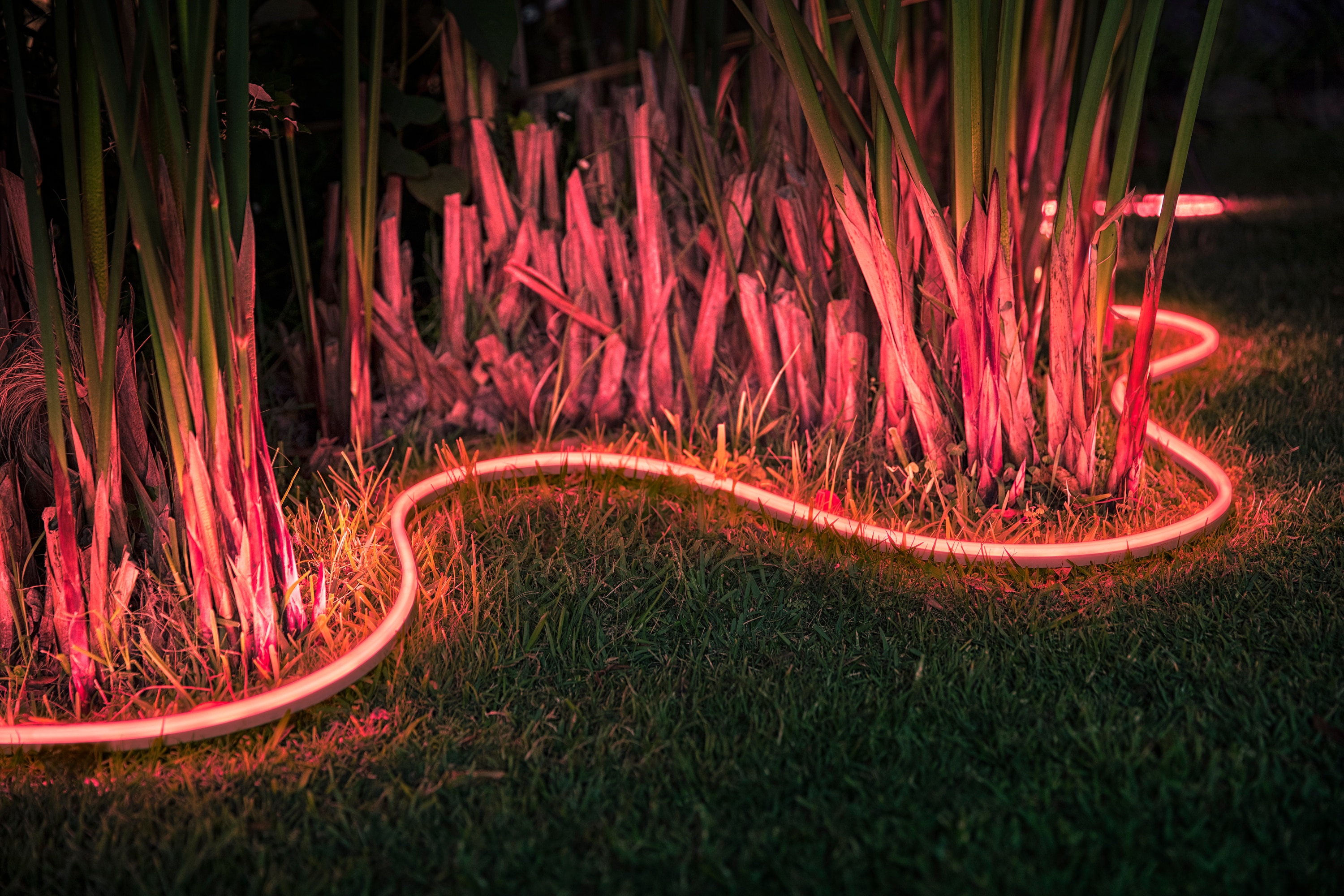 Expand your outdoor ambiance with Philips Hue Lightstrip Outdoor