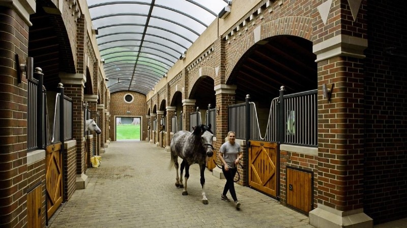 UV-C from Supermarkets to Stables