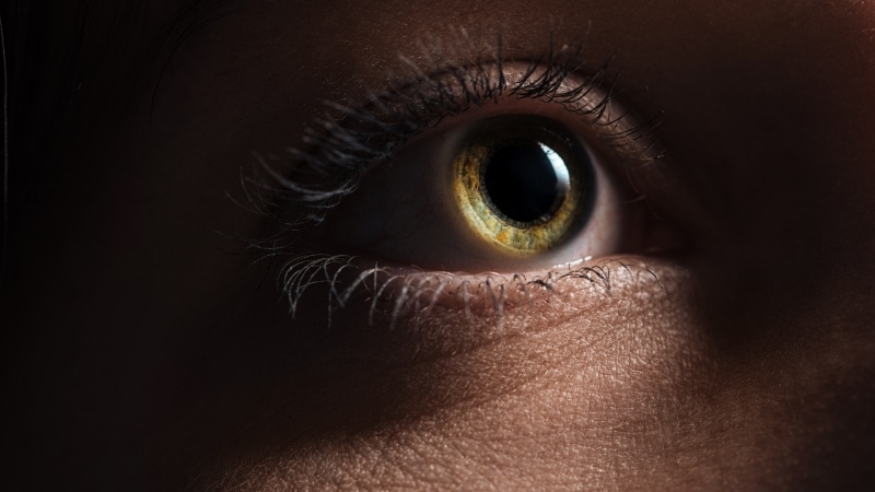 Close image of an eye 