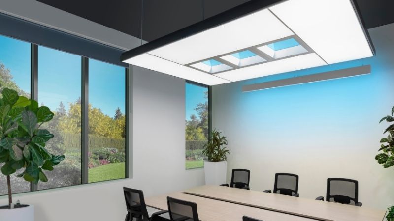 Signify’s NatureConnect office