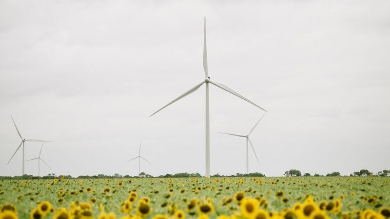 windmills in sunflower field