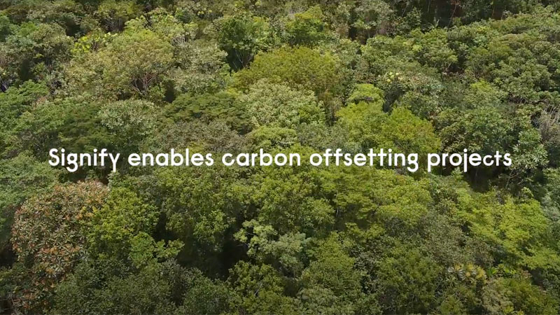 carbon offsetting projects