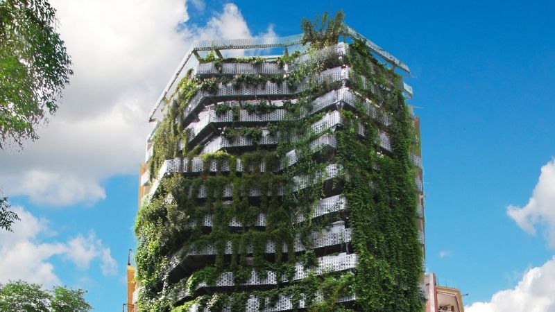 Building covered in plants