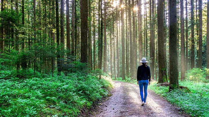 It’s time to walk the climate talk
