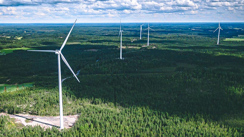 Wind farm of turbines delivering clean energy