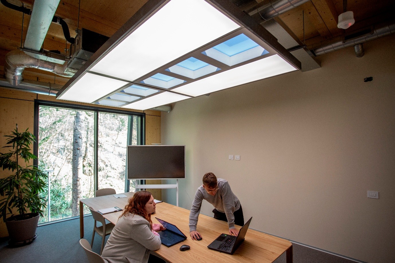 Centric indoor environments - office lighting NatureConnect