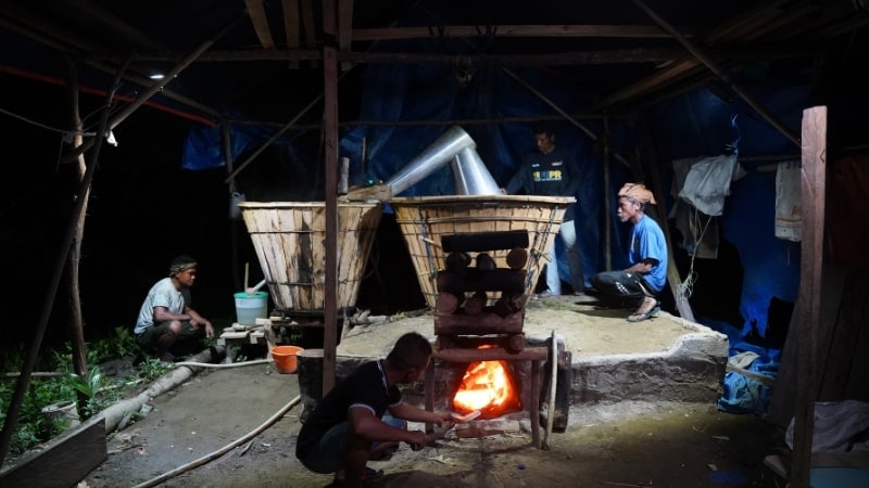 eucalyptus distillers working under solar flood light at night