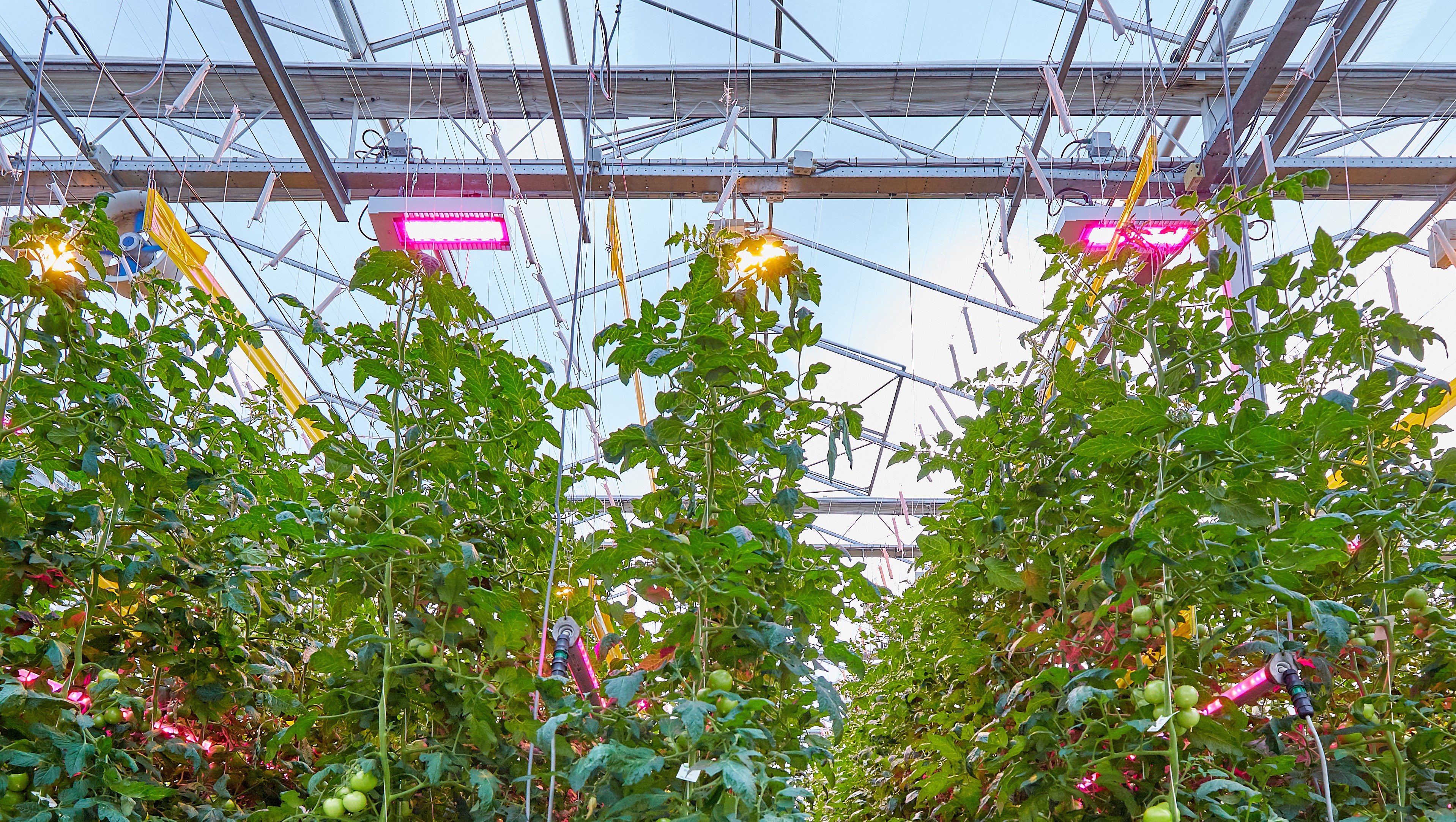 Philips greenpower led toplighting price deals