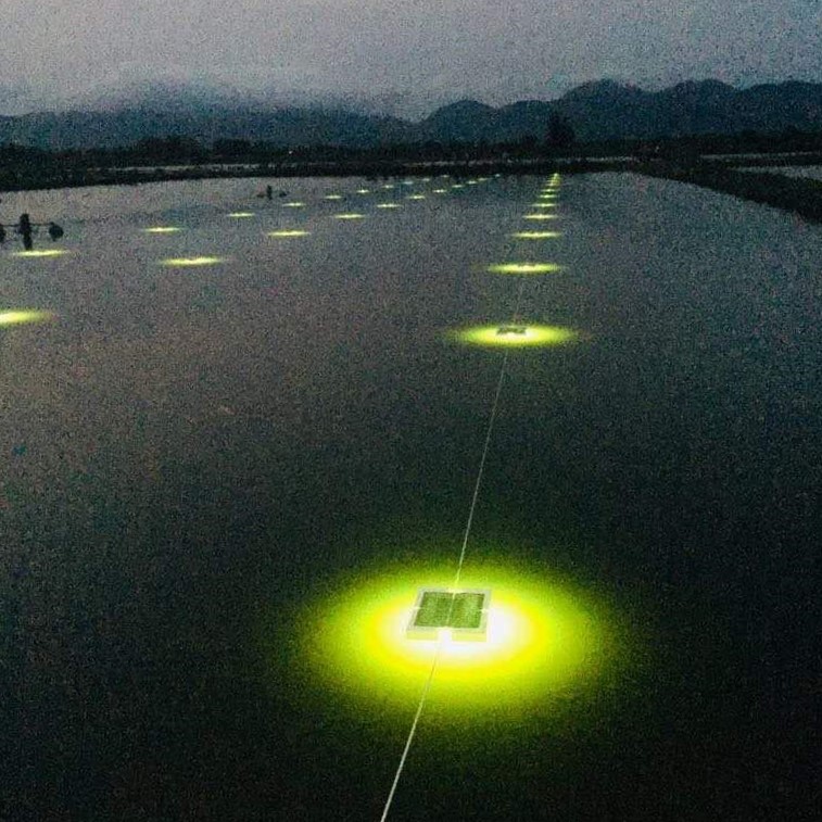 Aquaculture light - Fupe Systems AS - LED