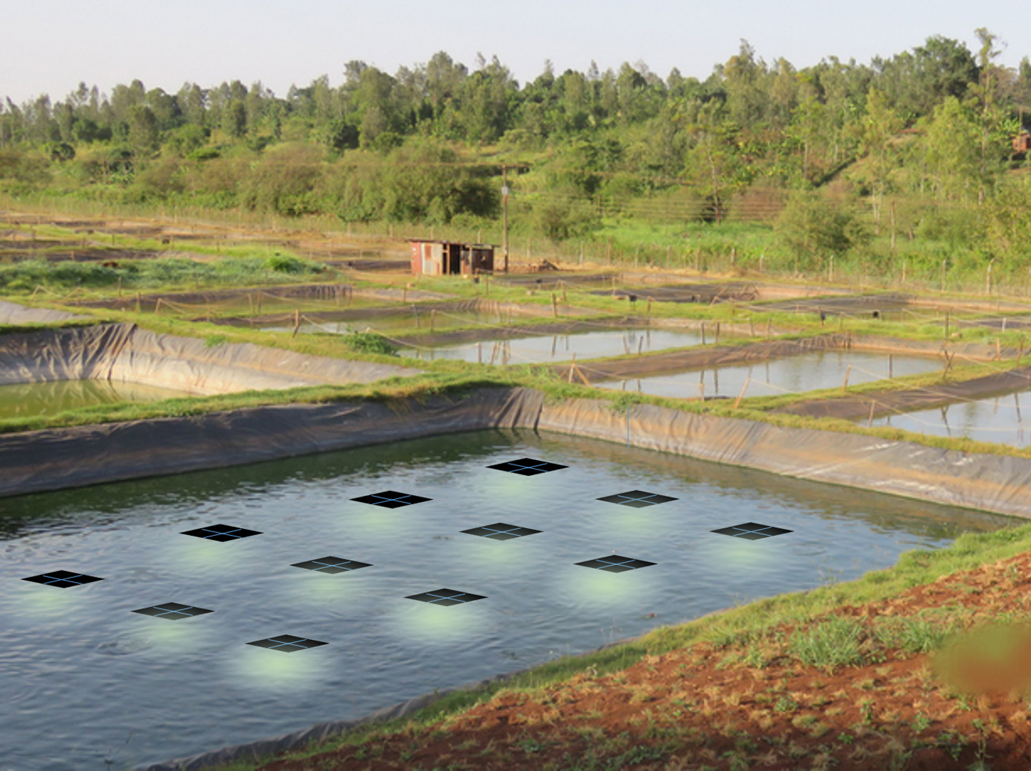 Aquaculture light - Fupe Systems AS - LED