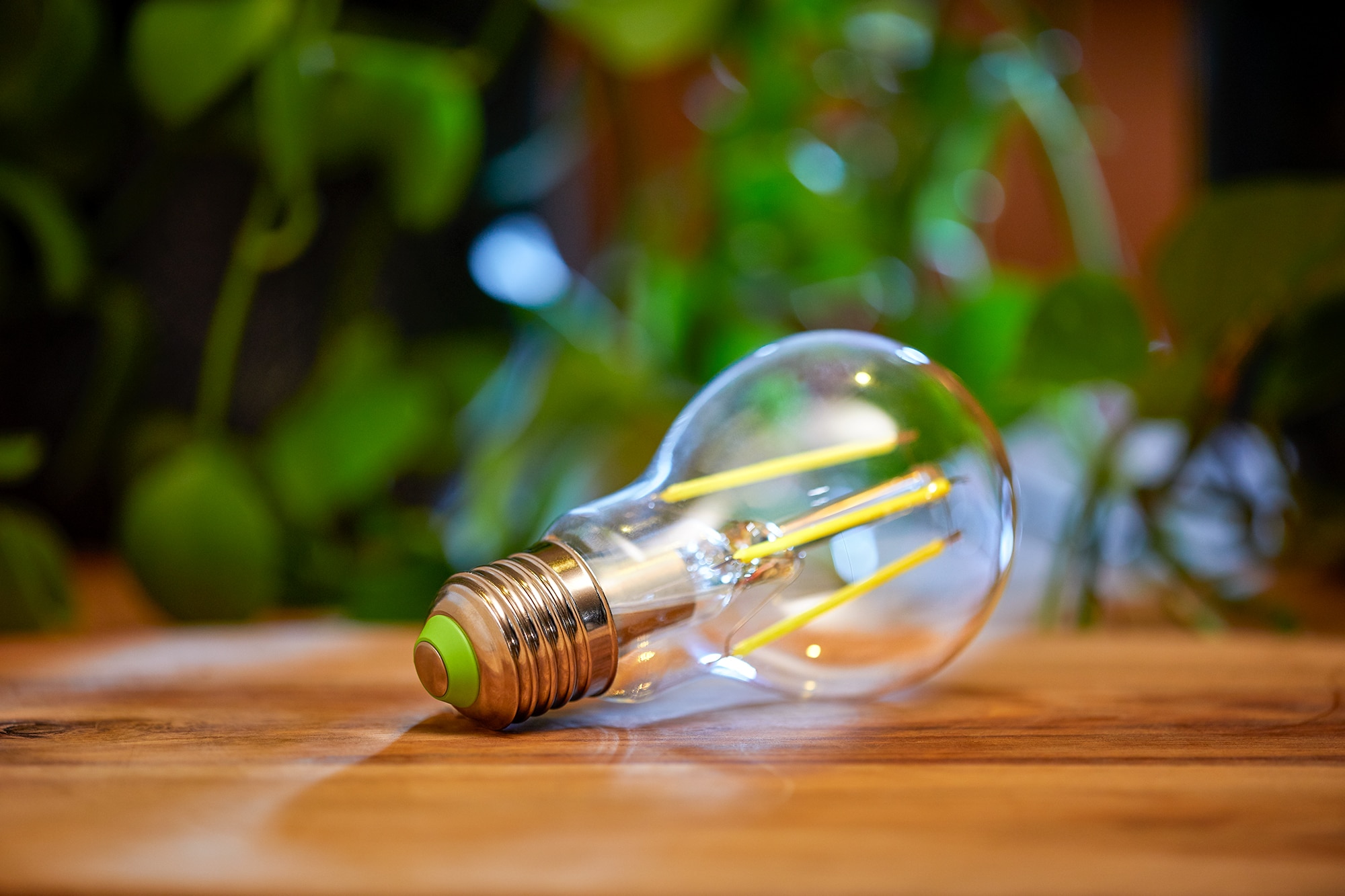 Philips LED's energy-efficient A-class bulbs | Signify Company Website
