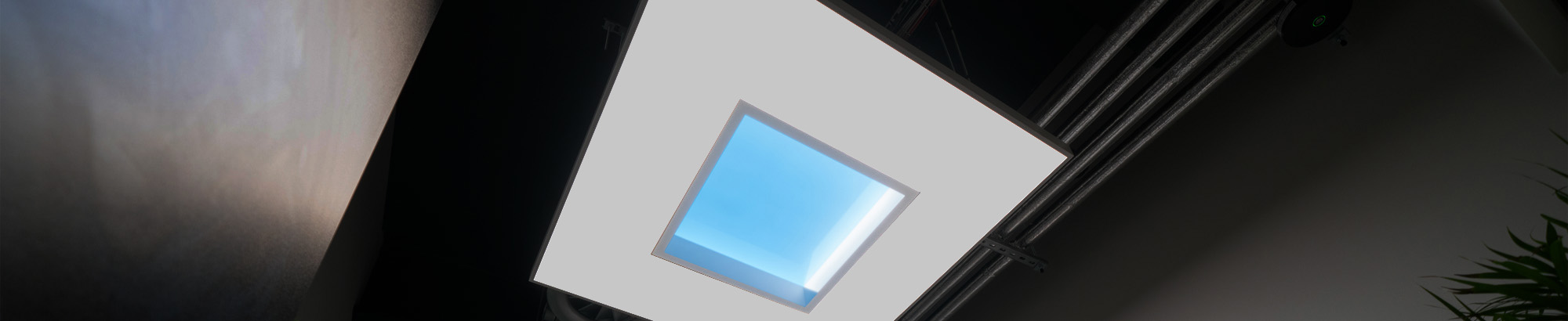Daylight in the windowless offices