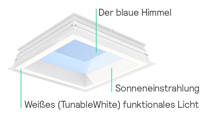 NatureConnect leads to higher alertness and vitality