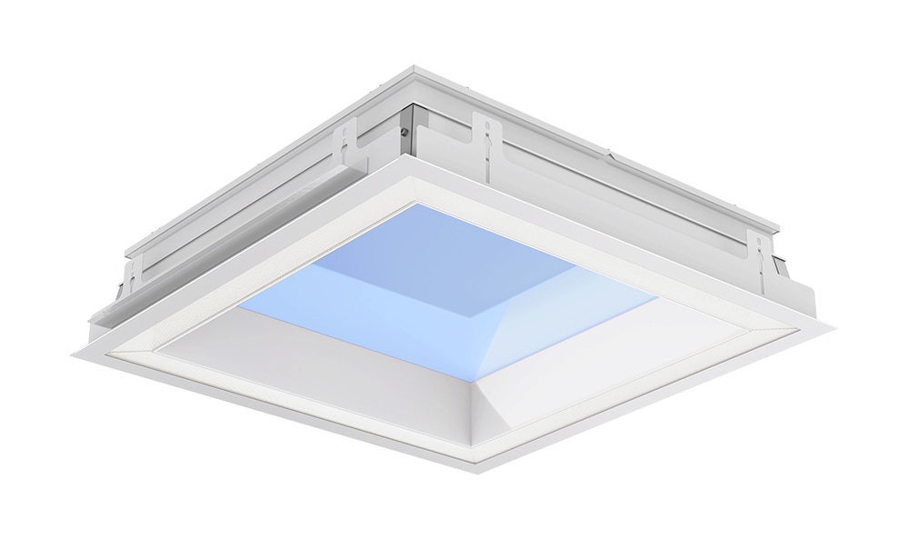 NatureConnect leads to higher occupancy