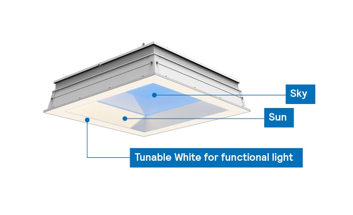 NatureConnect leads to higher alertness and vitality