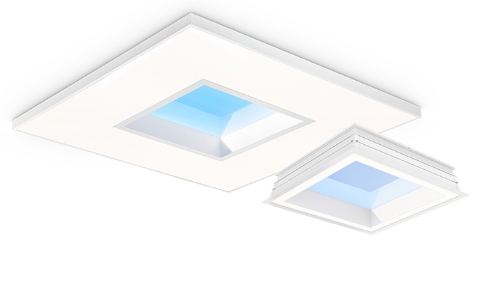 NatureConnect - Energize